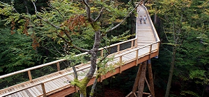  Baumwipfelpfad im Nationalpark Bayer. Wald