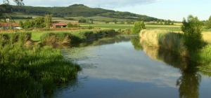  Die Wörnitz bei Wittelshofen